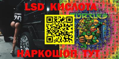 дурь Берёзовский